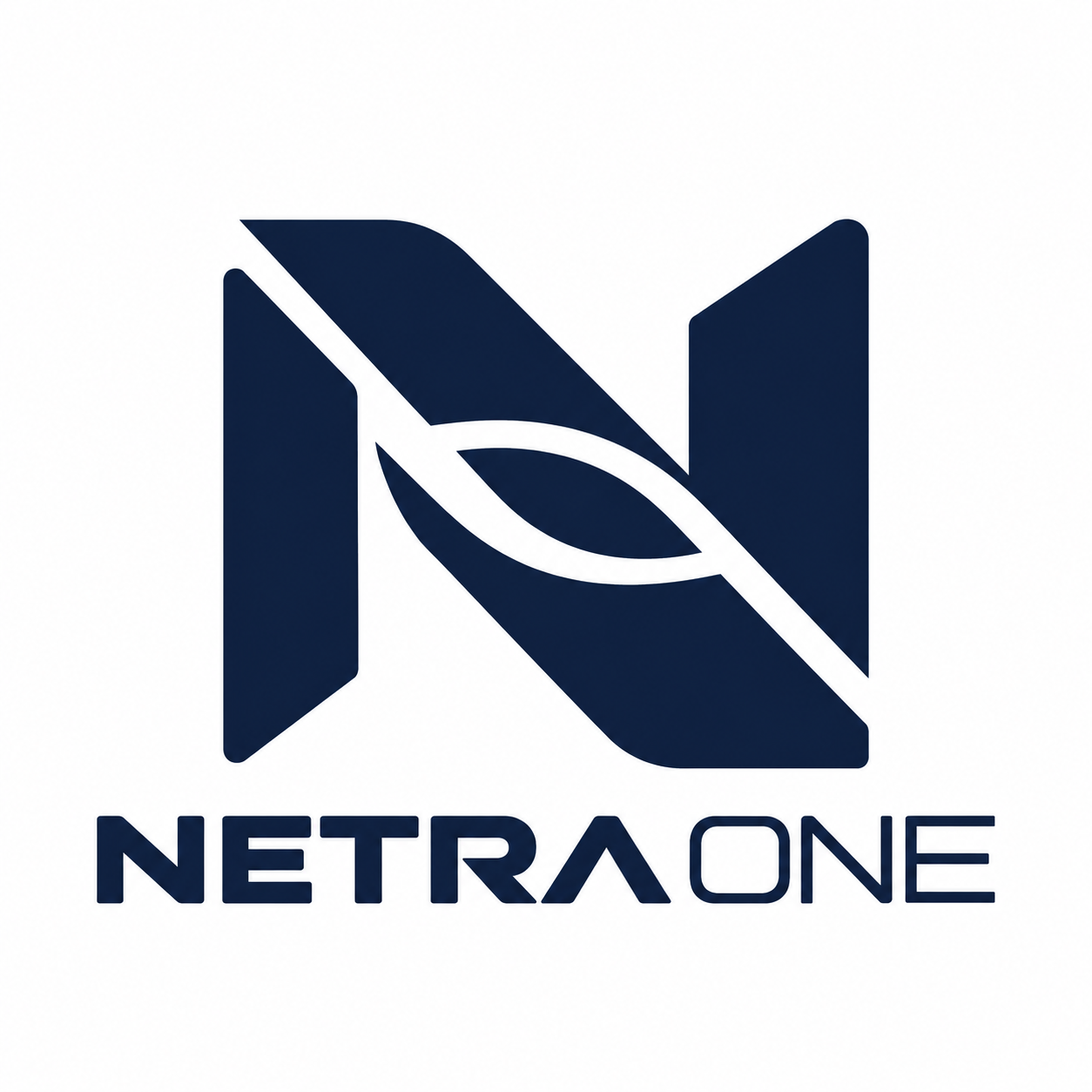 NetraOne